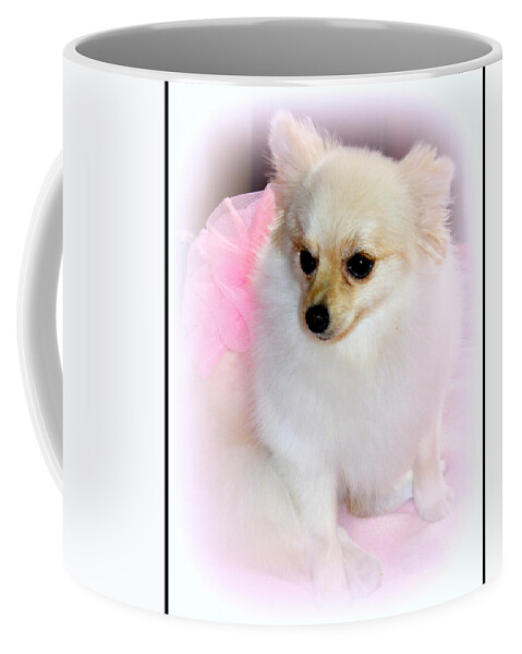 Pomeranian Coffee Mug featuring the photograph Pampered Pomeranian by Kathy White