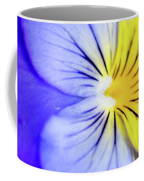 Pansy Coffee Mug featuring the photograph Pansy Close-up Square by Lisa Blake
