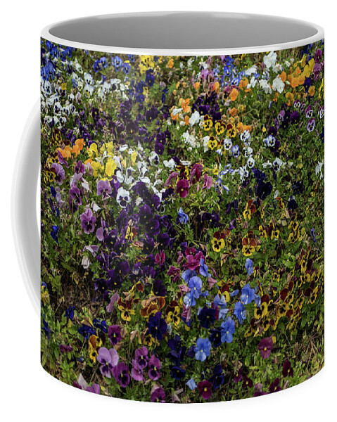 Pansies Coffee Mug featuring the photograph Pansy patch by Jocelyn Kahawai