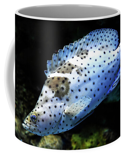 Fish Coffee Mug featuring the photograph Panther Grouper by Scott Cordell