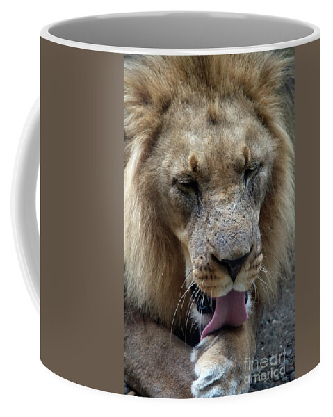 Michelle Meenawong Coffee Mug featuring the photograph Panthera Leo by Michelle Meenawong