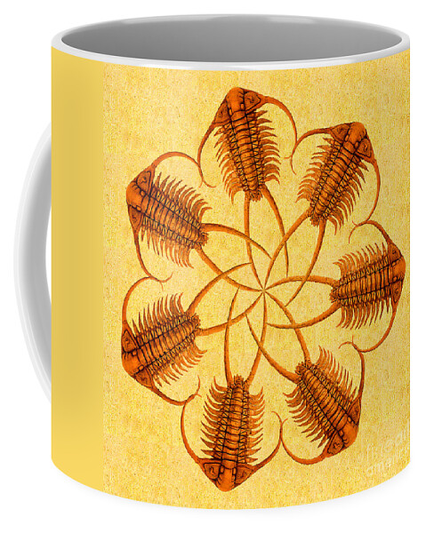 Trilobite Coffee Mug featuring the photograph Paraceraurus Fossil Trilobite Wheel by Melissa A Benson