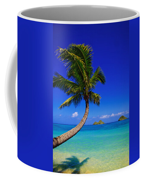 Afternoon Coffee Mug featuring the photograph Paradise Palm over Lanikai by Tomas del Amo - Printscapes