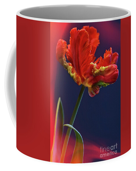 Tulip Coffee Mug featuring the photograph Parrot Tulip - Feathered Petals by Heiko Koehrer-Wagner