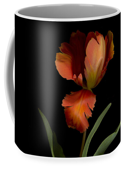 Garden Coffee Mug featuring the photograph Parrot Tulip by Sandi F Hutchins