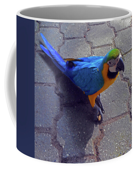 Cartagena Coffee Mug featuring the photograph Parrots 6 by Ron Kandt