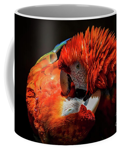 Parrots Coffee Mug featuring the photograph Parrots by Mitch Shindelbower