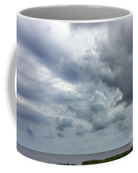 Scenic Tours Coffee Mug featuring the photograph Party At The Sand Bar by Skip Willits