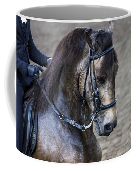 Paso Coffee Mug featuring the photograph Paso Fino Show Horse by Ben Graham