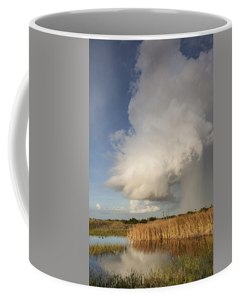 Cloud Coffee Mug featuring the photograph Passing late afternoon rain shower by David Watkins