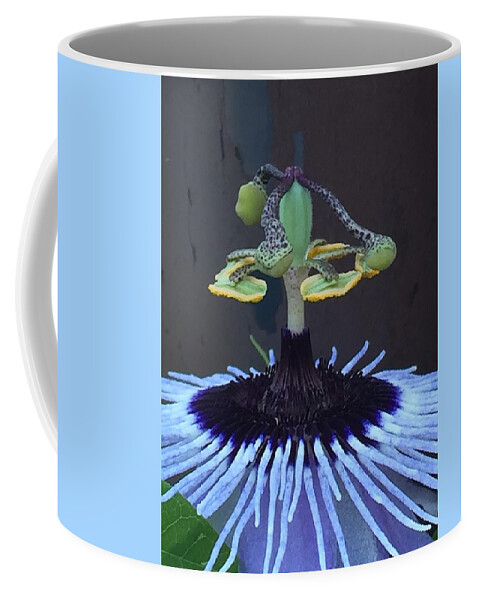“passion Flower” Coffee Mug featuring the photograph Passion Flower Hula by Gini Moore