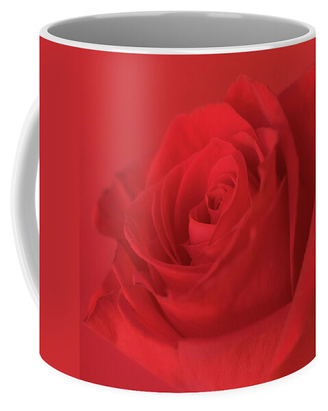 Red Rose Coffee Mug featuring the photograph Passion by Holly Ross