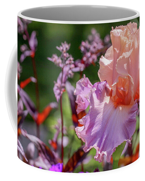 Iris Coffee Mug featuring the photograph Pastel Iris by Mary Anne Delgado