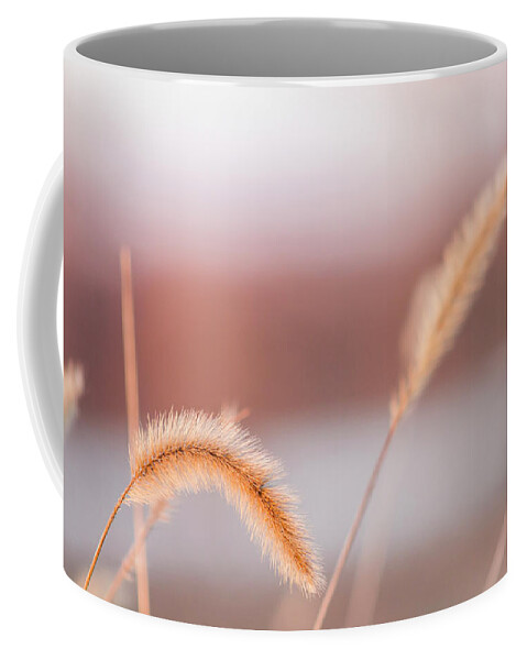 Weeds Coffee Mug featuring the photograph Pastel Sunset by Holly Ross