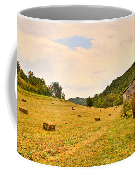 Pastorial Coffee Mug featuring the photograph Pastorial Framland in Kentucky by Douglas Barnett
