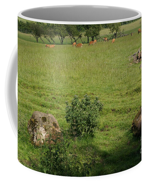 Beecraigs Coffee Mug featuring the photograph Pasture. by Elena Perelman