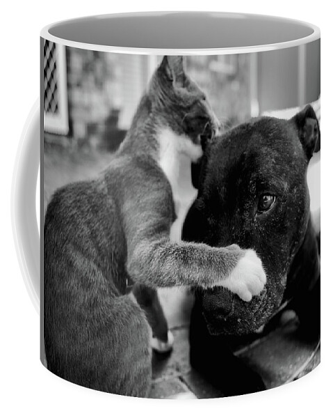Portrait Coffee Mug featuring the photograph Patches and Motey play 3 BnW by Michael Blaine