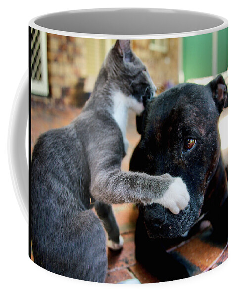Portrait Coffee Mug featuring the photograph Patches and Motey play 3 by Michael Blaine