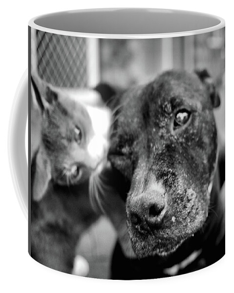 Portrait Coffee Mug featuring the photograph Patches plays with Motey by Michael Blaine