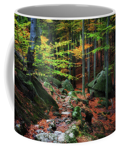 Forest Coffee Mug featuring the photograph Path in Autumn Forest Picturesque Scenery by Artur Bogacki