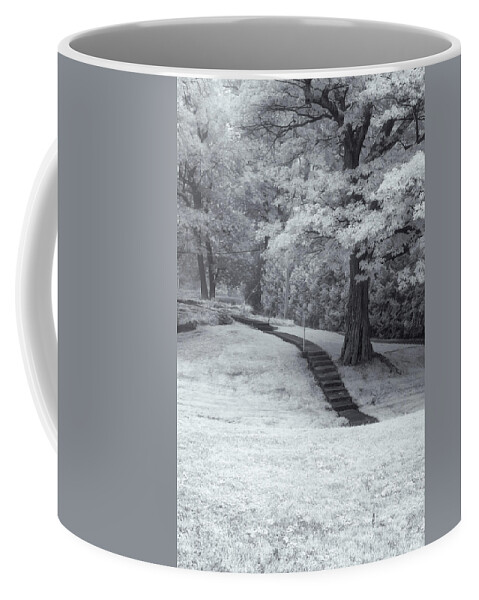 St Lawrence Seaway Coffee Mug featuring the photograph Path In Black And White by Tom Singleton