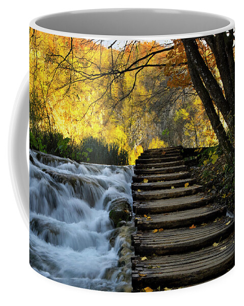 Plitvice Coffee Mug featuring the photograph Path in Plitvice by Ivan Slosar