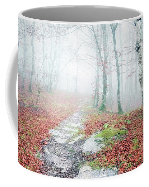 Autumn Coffee Mug featuring the photograph Path in the forest by Mikel Martinez de Osaba