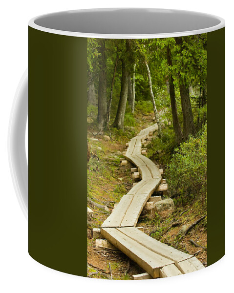 Forest Coffee Mug featuring the photograph Path Into Unknown by Sebastian Musial