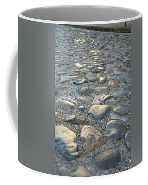 Path Coffee Mug featuring the photograph Path of Life Leading the Way by Douglas Barnett