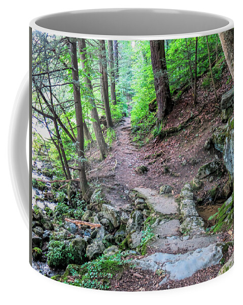 Path Coffee Mug featuring the photograph Path Over Limestone Spring by Jean Macaluso
