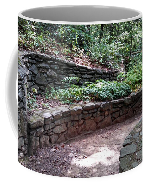 Path Coffee Mug featuring the photograph Path Takes A Turn by Allen Nice-Webb