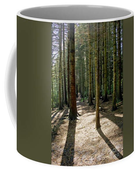 Beecraigs Coffee Mug featuring the photograph Path through the woods. by Elena Perelman