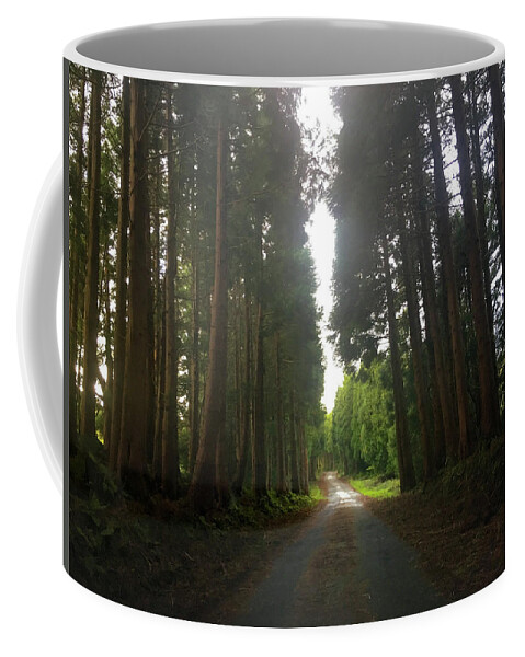 Kelly Hazel Coffee Mug featuring the photograph Path Through the Woods by Kelly Hazel
