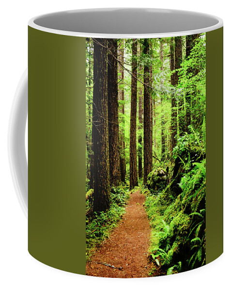 Woods Coffee Mug featuring the photograph Path to Peace by Tim Dussault