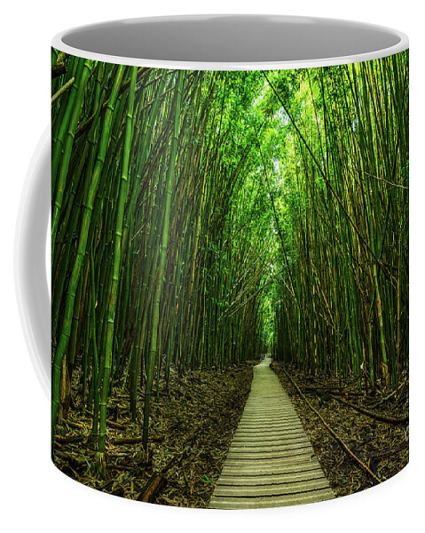 Bamboo Forest Coffee Mug featuring the photograph Path to Zen by Jamie Pham