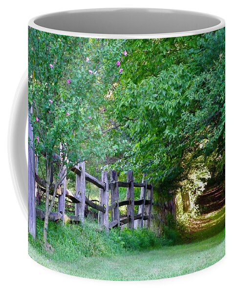 On Our Farm Coffee Mug featuring the photograph Pathway to a sunny summer morning by Alan Johnson