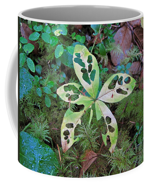 Nature Coffee Mug featuring the photograph Patterns 5 by Sean Griffin