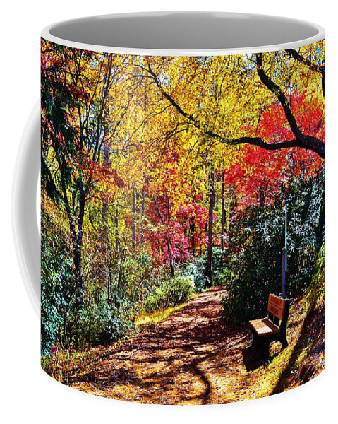 Forest Coffee Mug featuring the photograph Peace and Tranquility by Eileen Brymer