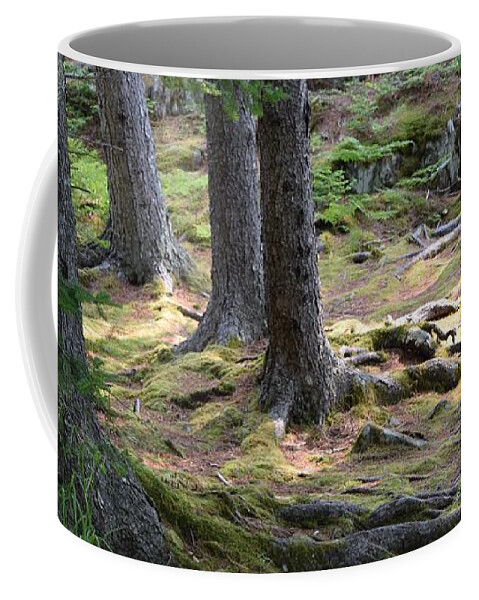 Barrieloustark Coffee Mug featuring the photograph This Is Where the Elves Must Live by Barrie Stark