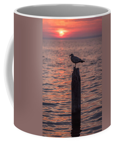 Terry D Photography Coffee Mug featuring the photograph Peaceful Sunset Seagull Seaside Park NJ by Terry DeLuco