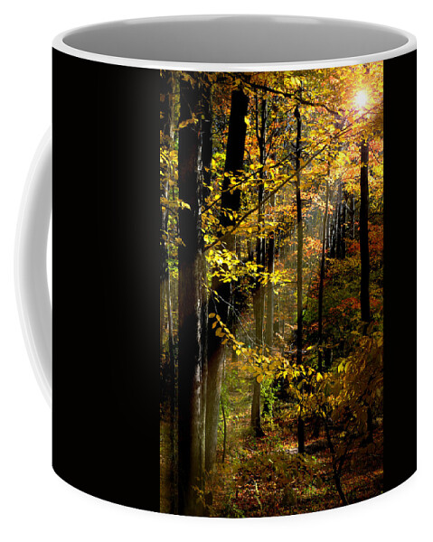 Landscape Coffee Mug featuring the photograph Peaceful Guidance by Diana Angstadt