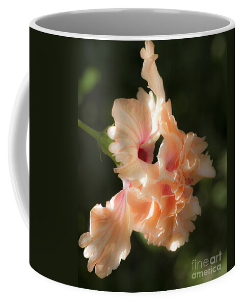 Hibiscus Coffee Mug featuring the photograph Peach Bliss by Ken Frischkorn