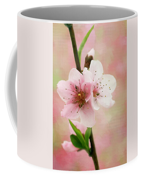 Peach Blossoms Coffee Mug featuring the photograph Peach Blossom 3 by Cindi Ressler