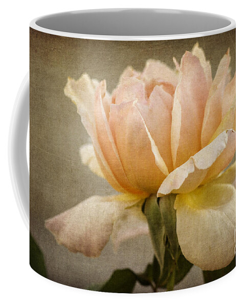 Peach Rose Coffee Mug featuring the photograph Peach Rose by Tamara Becker