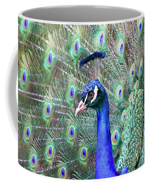 Peacock Coffee Mug featuring the photograph Peacock Bloom by Steve McKinzie
