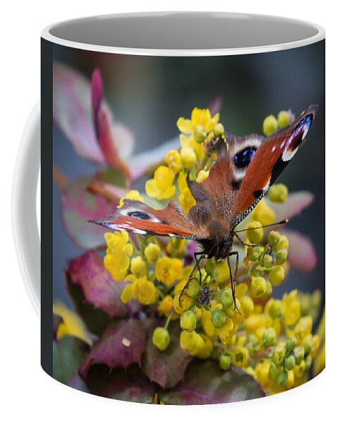 Peacock Coffee Mug featuring the photograph Peacock butterfly by Claudio Maioli