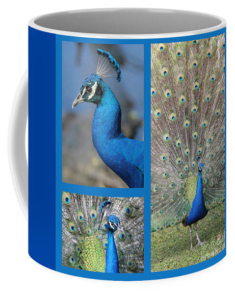 Collages Coffee Mug featuring the photograph Peacock Collage in Blue by Carol Groenen