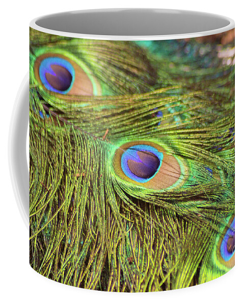 Bird Coffee Mug featuring the photograph Peacock Feathers by Kimberly Blom-Roemer