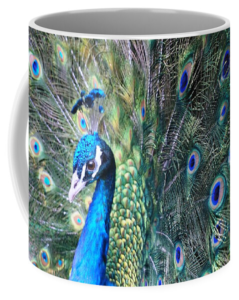 Peacock Coffee Mug featuring the photograph Peacock by Julia Ivanovna Willhite