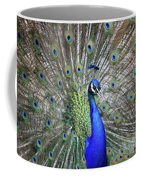 Peacock Coffee Mug featuring the photograph Peacock by Maria Gaellman